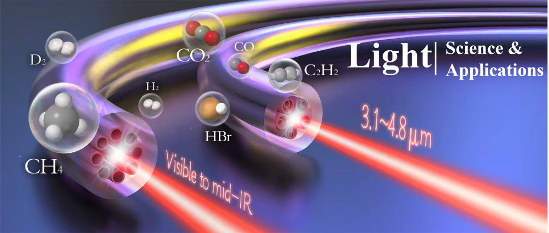 王泽锋课题组 Light | 空芯光纤气体激光器进展综述